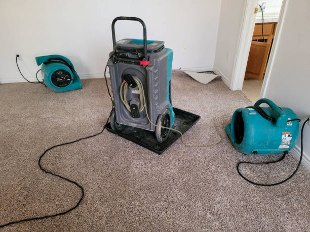 Best Carpet water damage restoration  in Woodbury, NJ