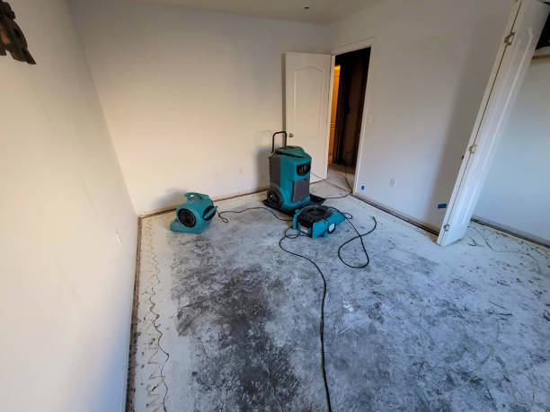 Best Water damage restoration company  in Woodbury, NJ