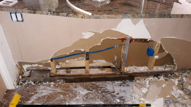 Best Local water damage restoration  in Woodbury, NJ