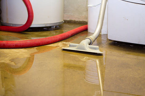 Best Local water damage restoration  in Woodbury, NJ
