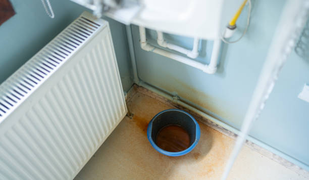 Best Carpet water damage restoration  in Woodbury, NJ