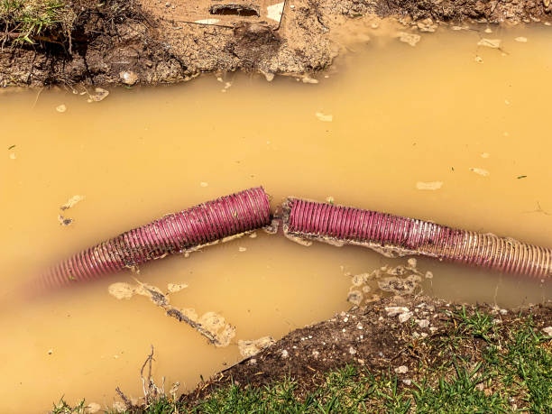 Best 24-hour water damage restoration  in Woodbury, NJ